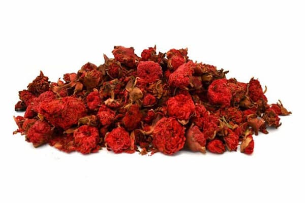 تصویر 1 از خرید و فروش گلنار فارسی گیاه با شرایط فوق العاده